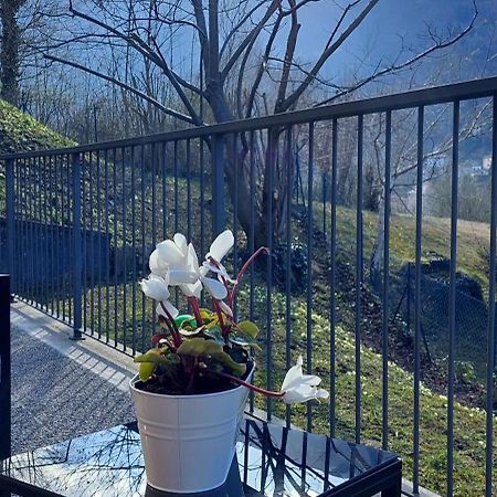 마그레글리오 Casa Laura Zona Bellagio 아파트 외부 사진